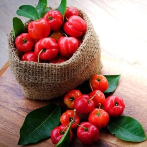 Barbados cherry