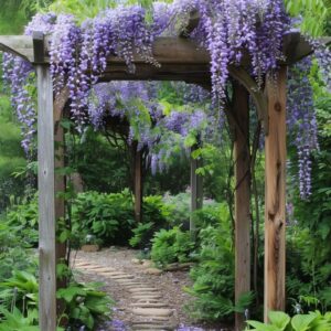 Wisteria Vine Purple
