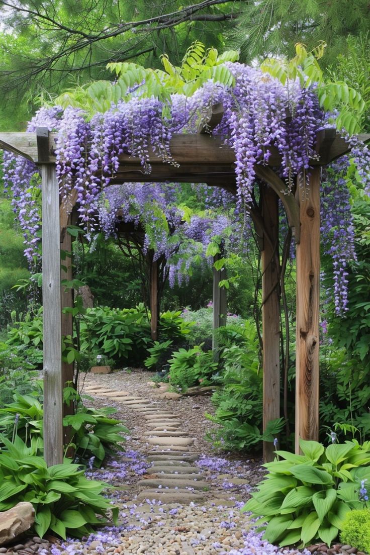 Wisteria Vine Purple