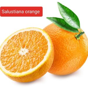 Salustiana Orange, Plants